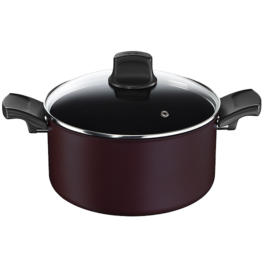 TACHO TEFAL TITANIUM SIGNATURE IND. 24CM + TAMPA VIDRO – C6874602