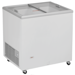 ARCA HORIZONTAL GELADOS TAMPA PLANA VIDRO STARLUX – STCTV220I