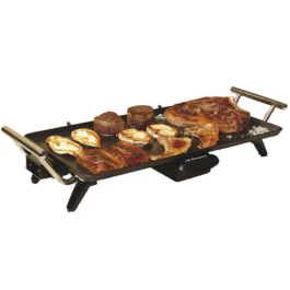 GRELHADOR ORBEGOZO – TB 2210