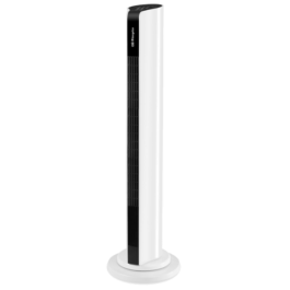 VENTOINHA TORRE ORBEGOZO – TWM 1000